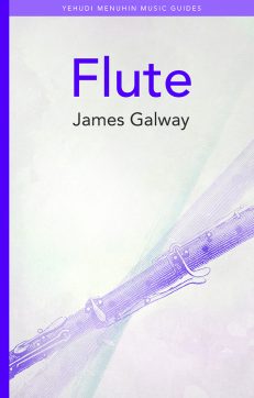 Flute - a Yehudi Menuhin Music Guide